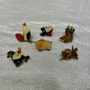 Rodeo Enamel Lapel Pins - 6 in set